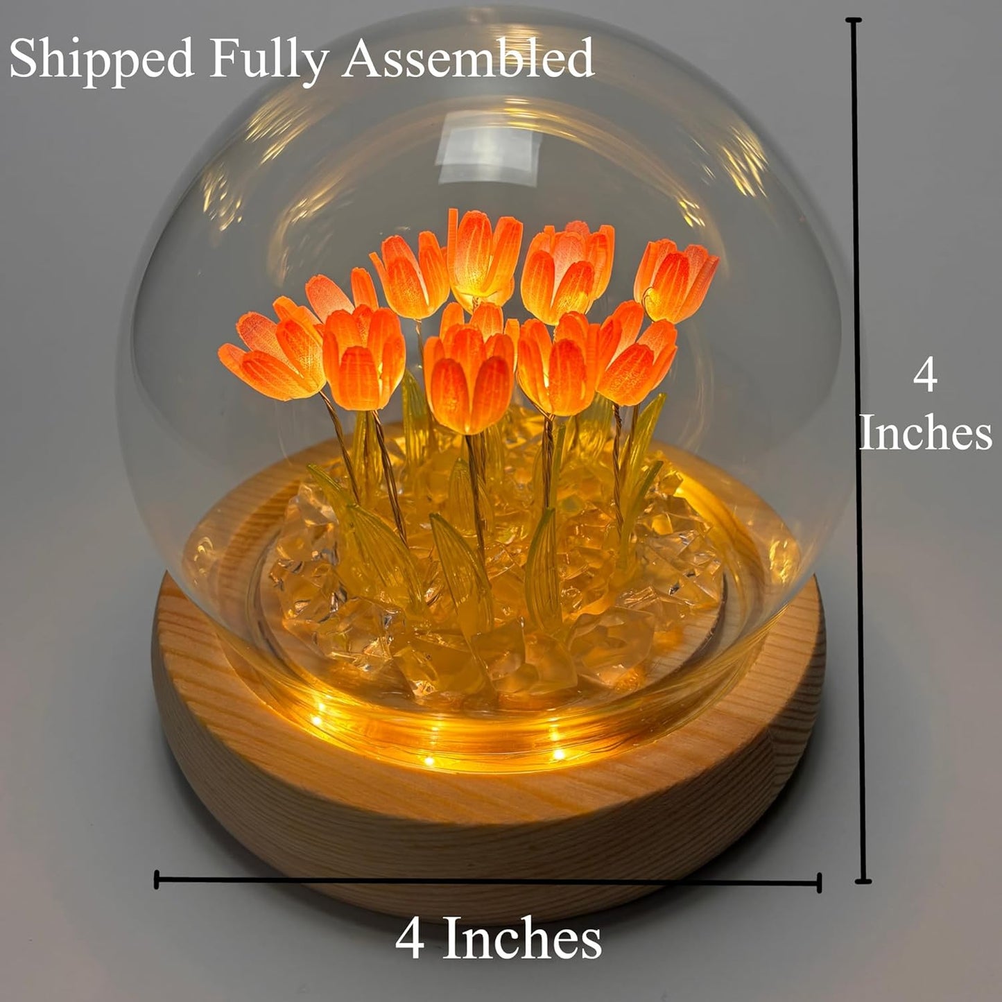 Round Tulip Light